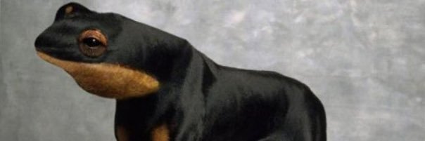 whatab1tch's profile banner image