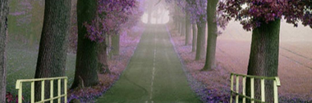 . banner