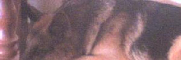 analiavalenzue4 Profile Banner