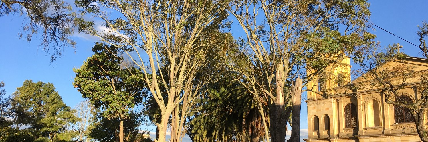 FELIX ALBERTO CONTRERAS G. banner