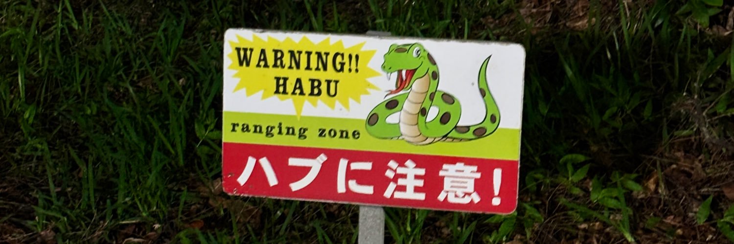 hub_sp's profile banner image