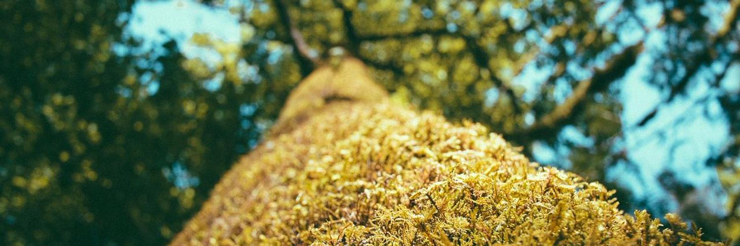 jonjonfrederich's profile banner image
