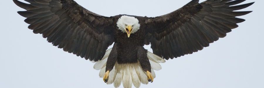 TX2ALiberty's profile banner image