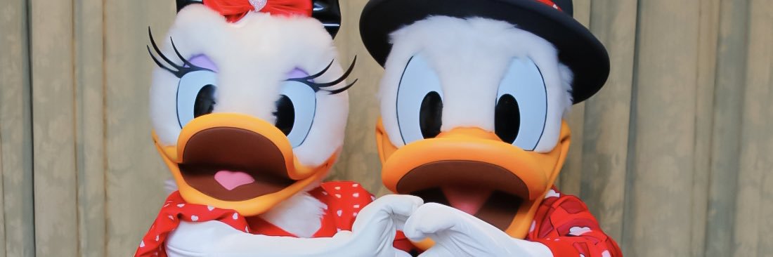 ena_daisy's profile banner image