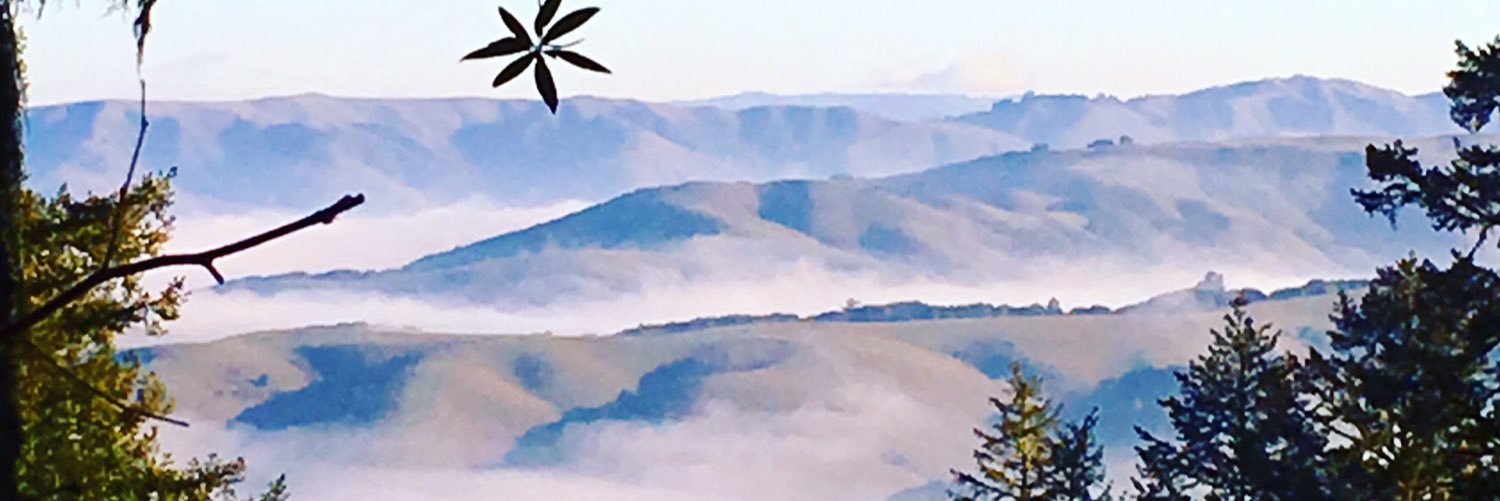 Jes_Wade's profile banner image