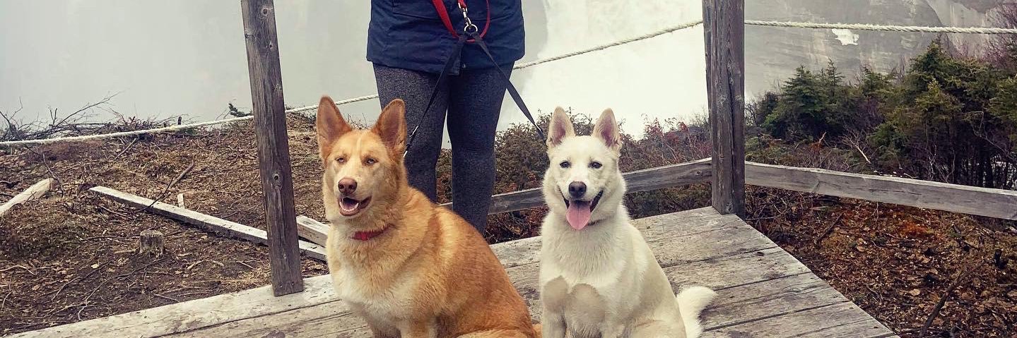 Amanda Fowler (She/Her) ✨ banner