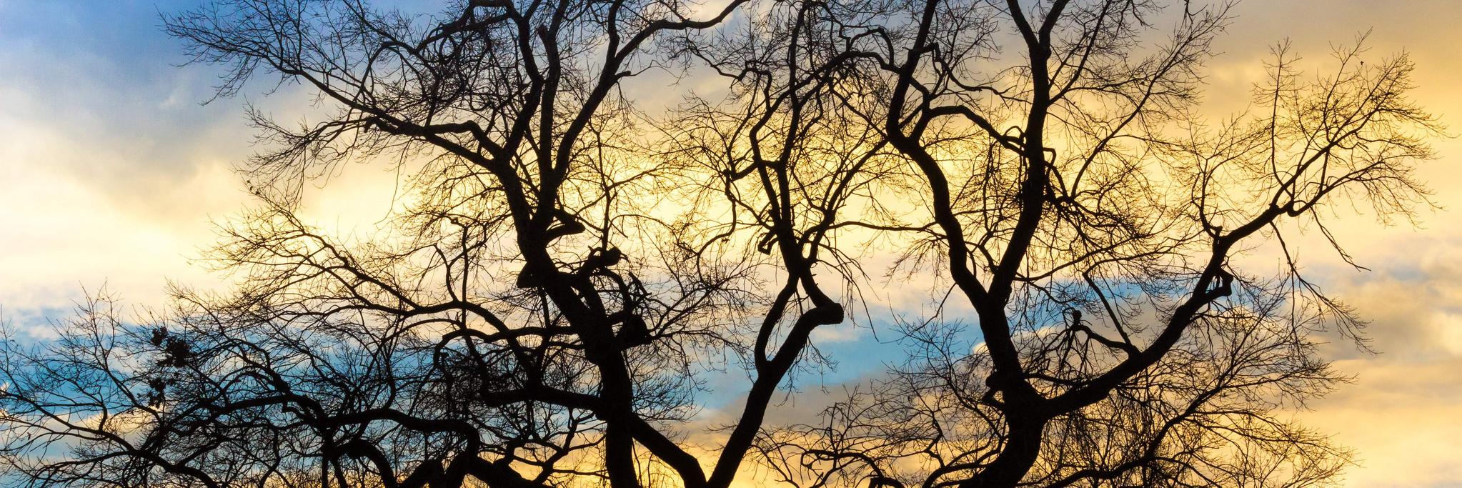 Degrowth deutsch banner