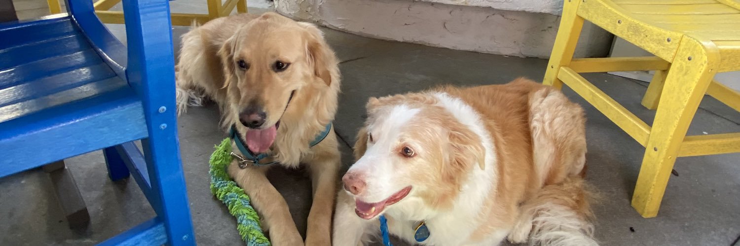 goldendogdad banner