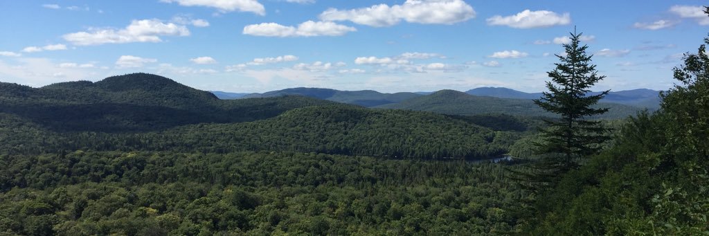 MayLandry's profile banner image