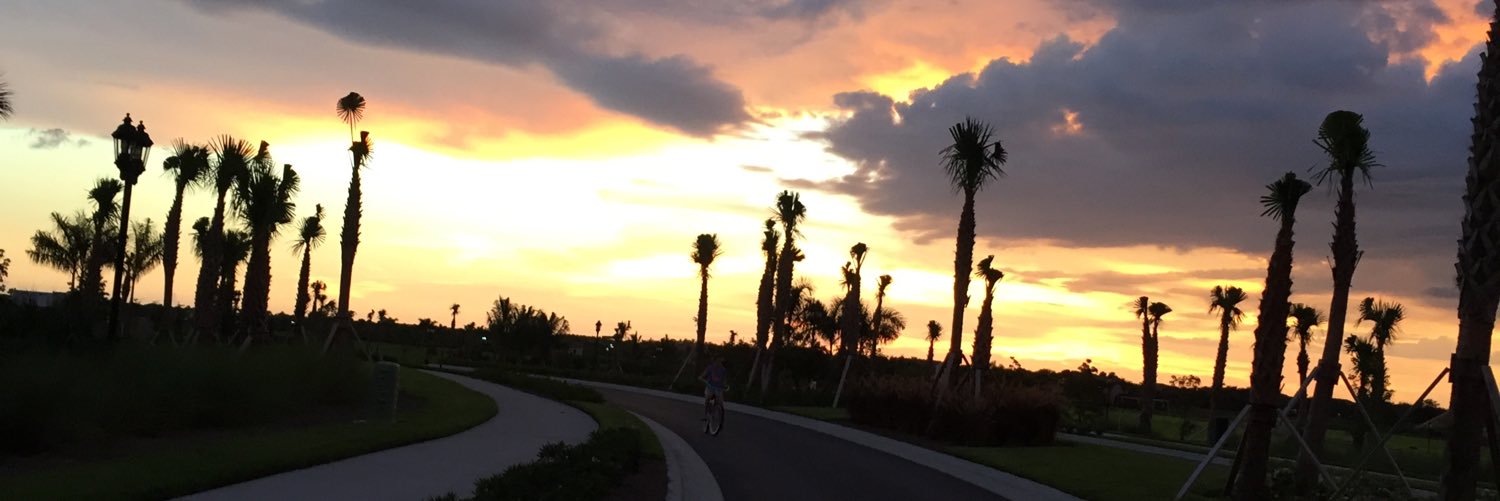 rsscstllo's profile banner image