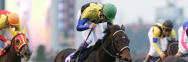 中村裕希(なかむ～)🐣🍓#Mtv#ﾆｶｲﾀﾞｰ#麻雀ﾌﾟﾛ競輪部#ささかまーω banner