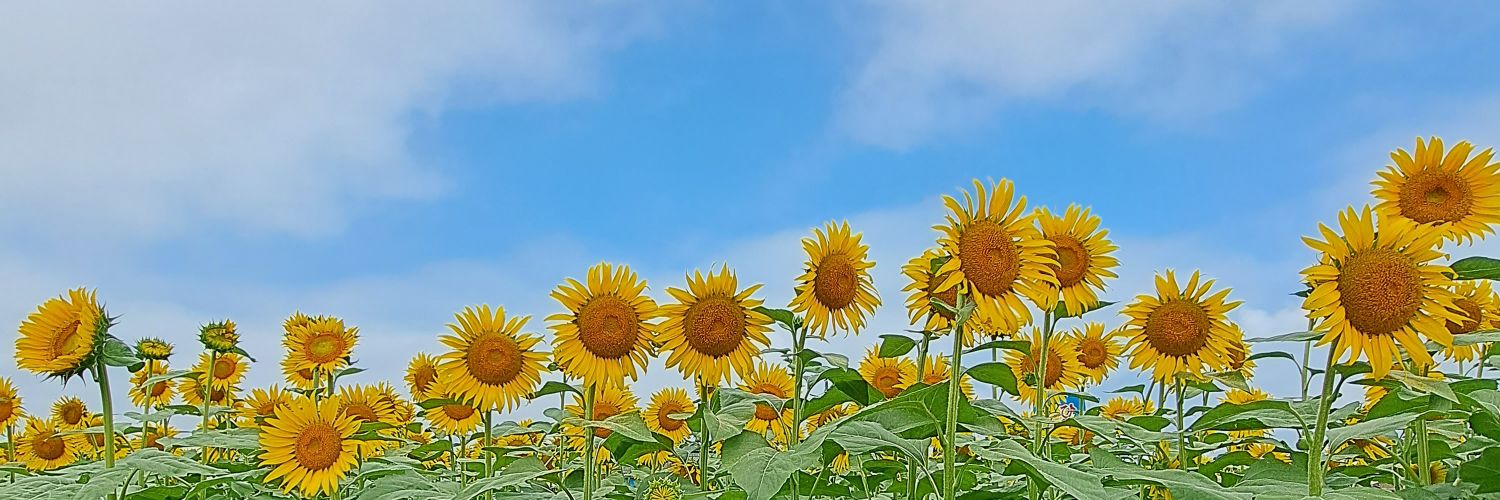 natchaaaaan67's profile banner image