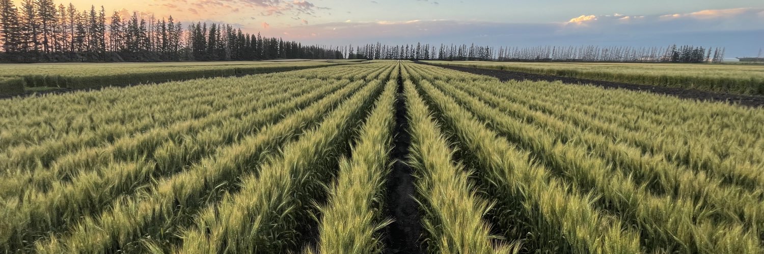 Richard Cuthbert banner