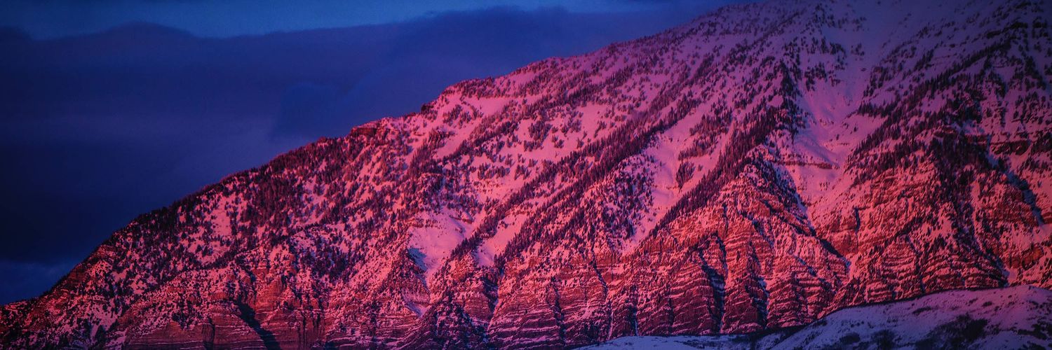 bsnzus's profile banner image