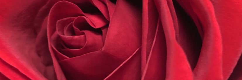 MellMellons's profile banner image