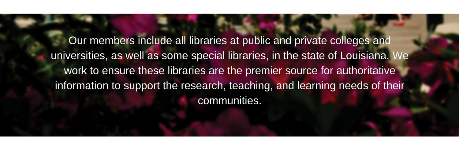 LOUIS Libraries banner