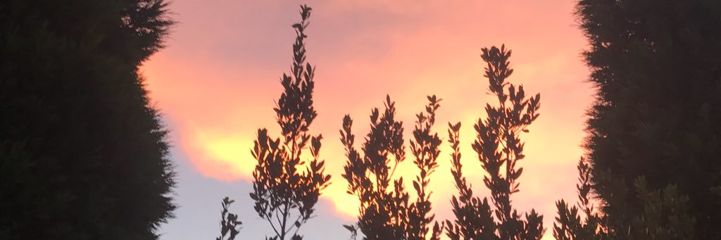 jenna03's profile banner image