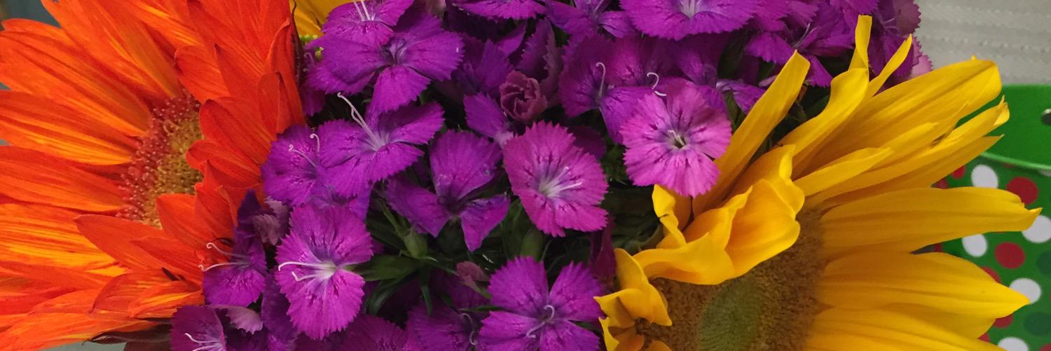 warburtonc's profile banner image