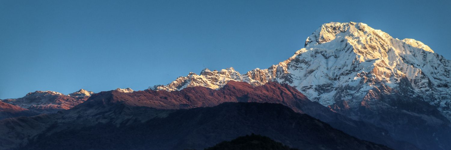 ल्या दादा banner