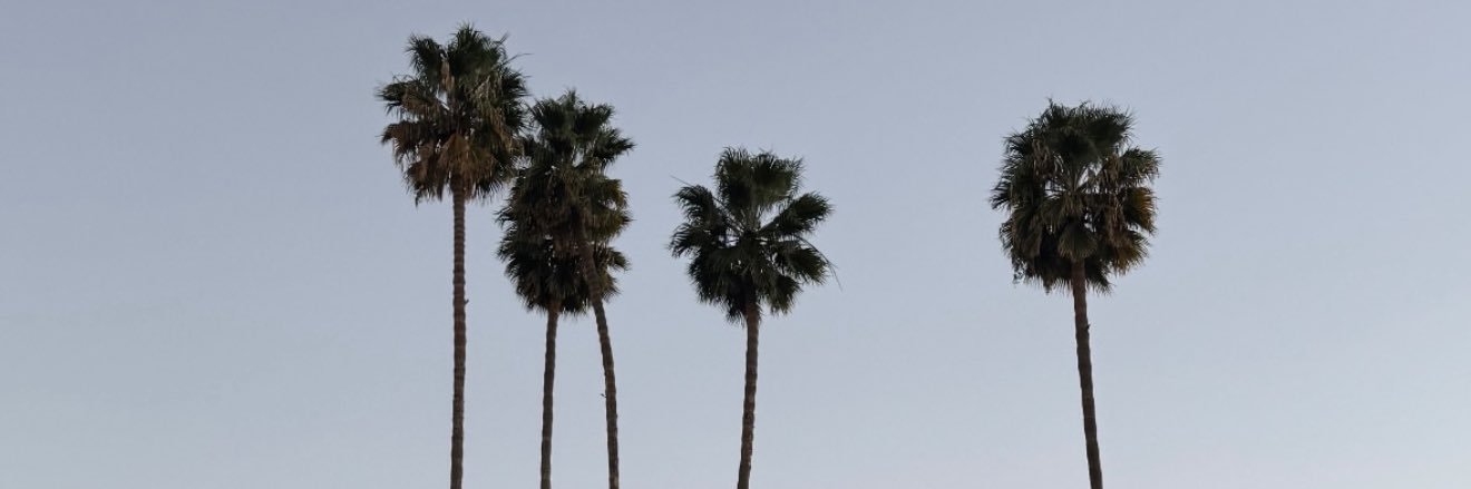 mchellermz's profile banner image
