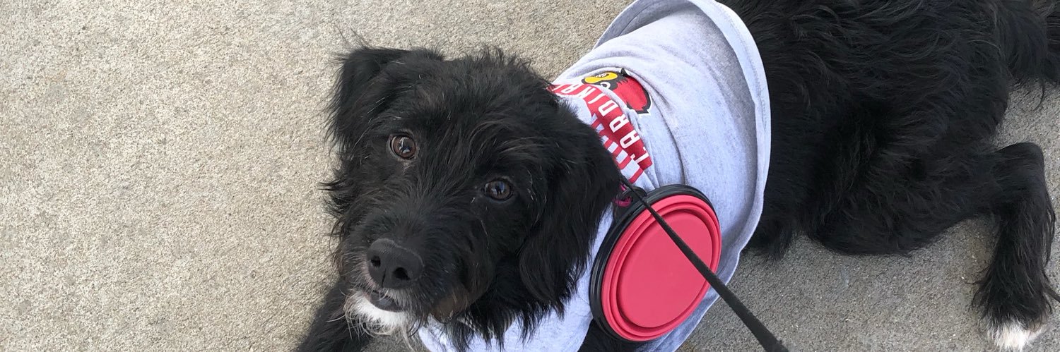 McKeeeenna's profile banner image