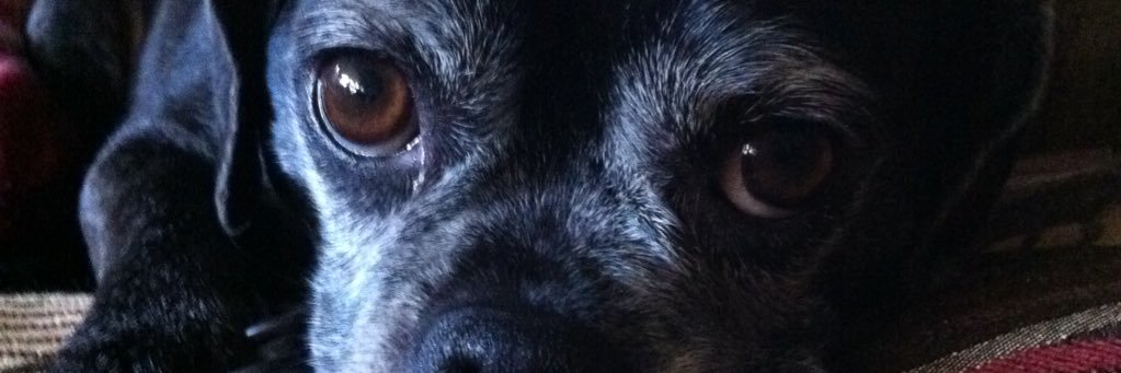 _rohurley's profile banner image