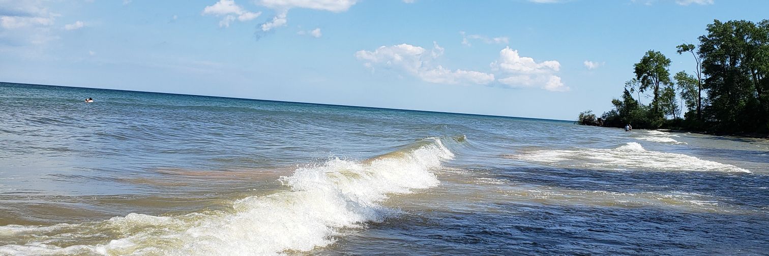 Mycoffeescold's profile banner image