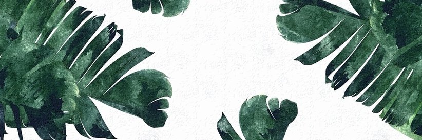 reignsnjh's profile banner image