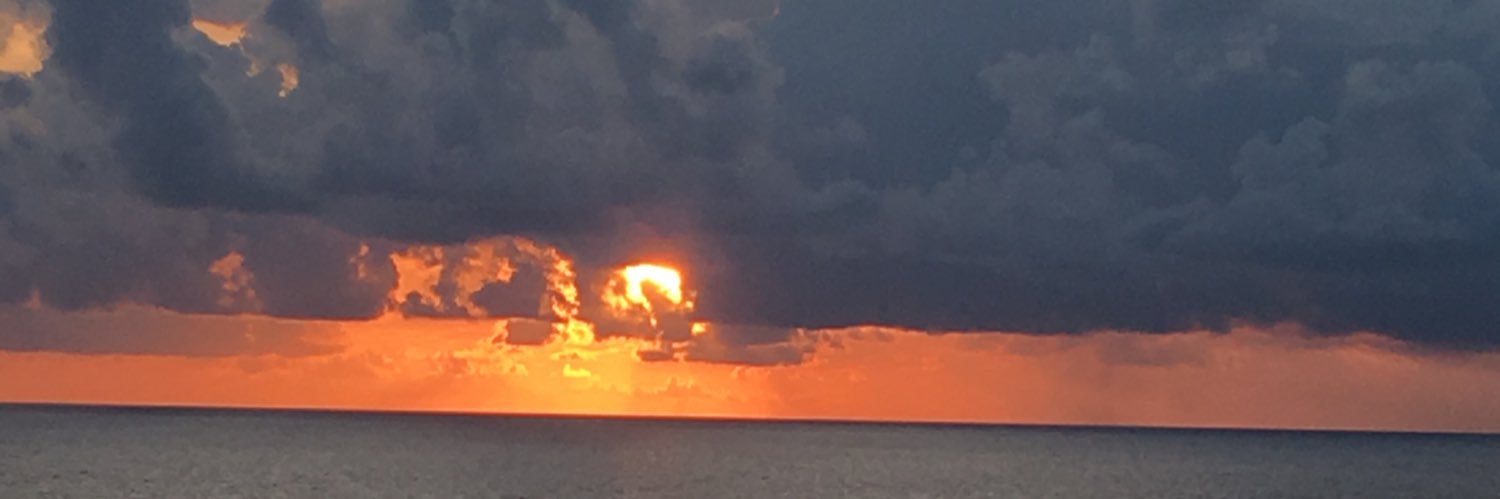 Andrea 🇺🇸 banner