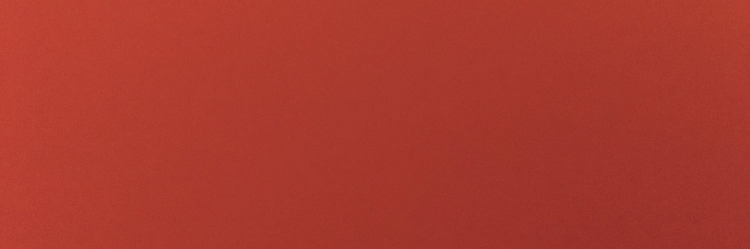 richericoh's profile banner image