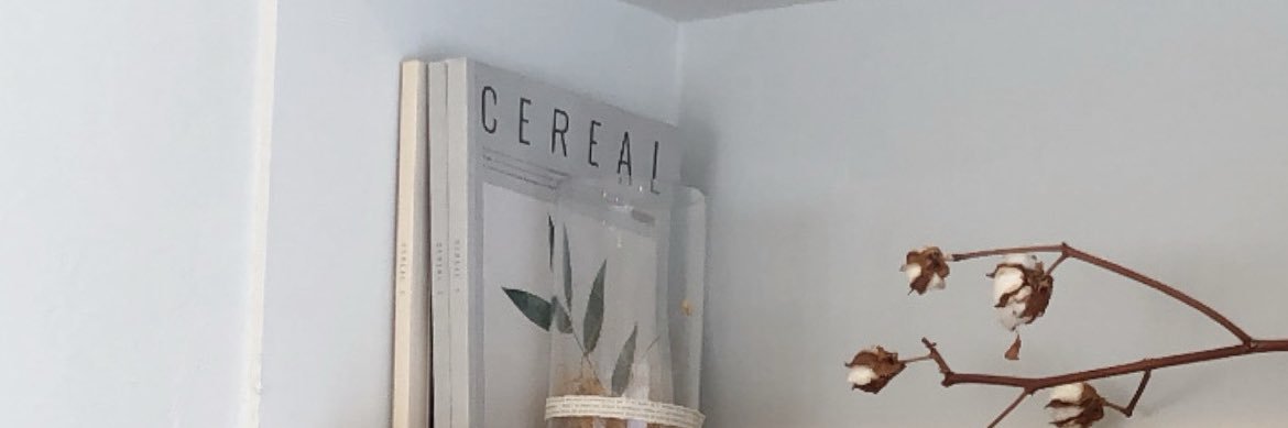 s banner