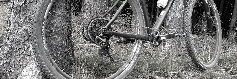 Move My Bicycle banner