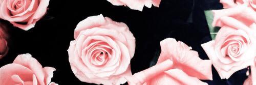 ashtindiane's profile banner image