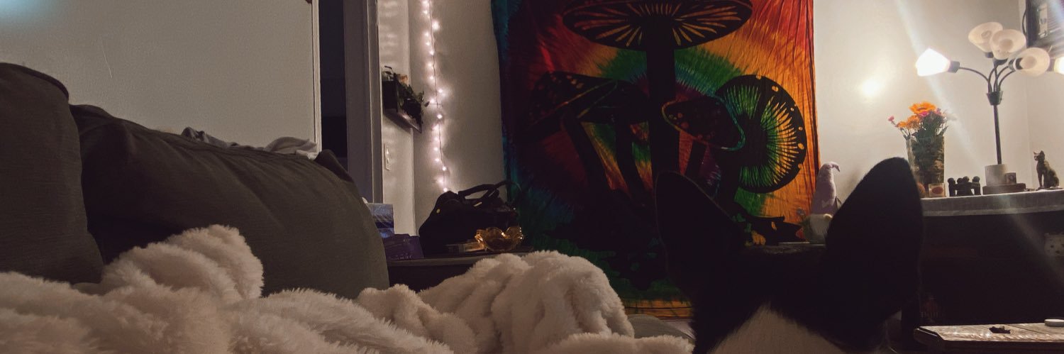 megpetty1's profile banner image