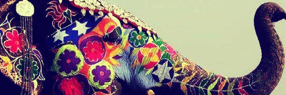 mayri_8's profile banner image