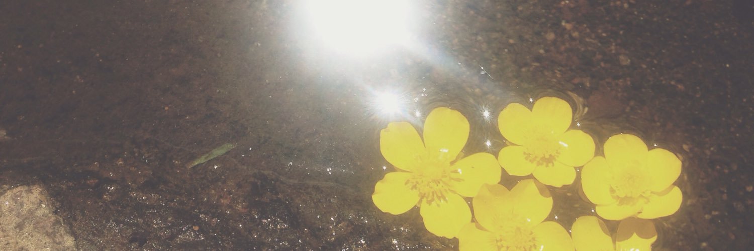 rakkfulla's profile banner image