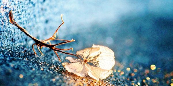claup84's profile banner image
