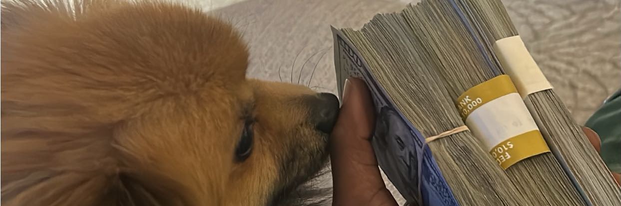 ItsNoRecipe's profile banner image