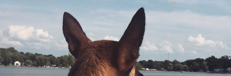 33_EChilders's profile banner image