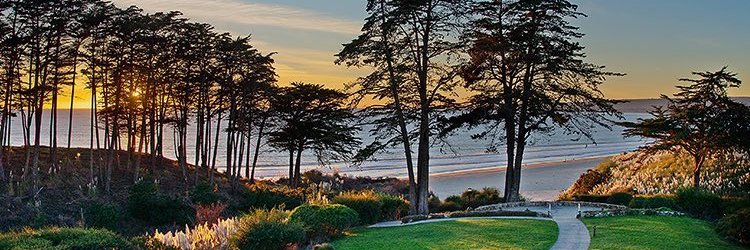 MikeFitzSF's profile banner image