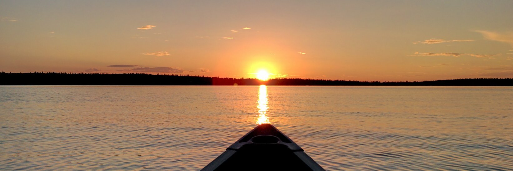 Lee Robertson banner