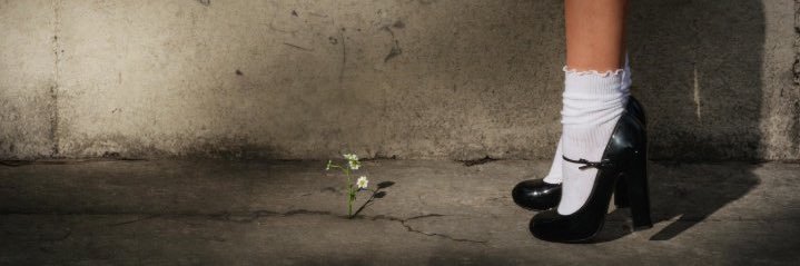 agata banner