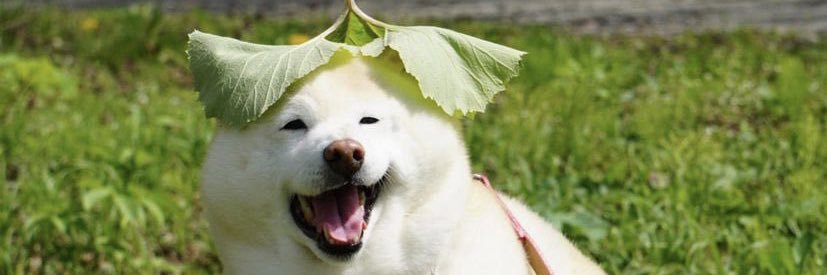 AllenJLim's profile banner image