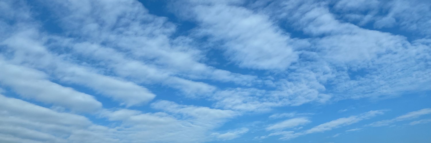 SevenRankings's profile banner image
