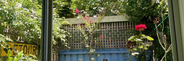 misslice Profile Banner