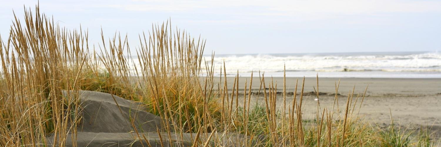 ThePolynesian's profile banner image