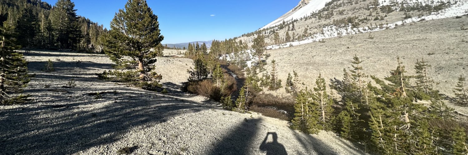 Ryan the Zealot banner