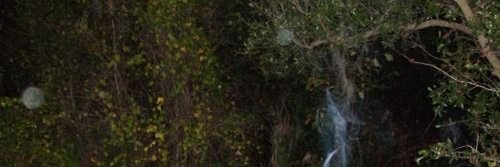 catpyss's profile banner image