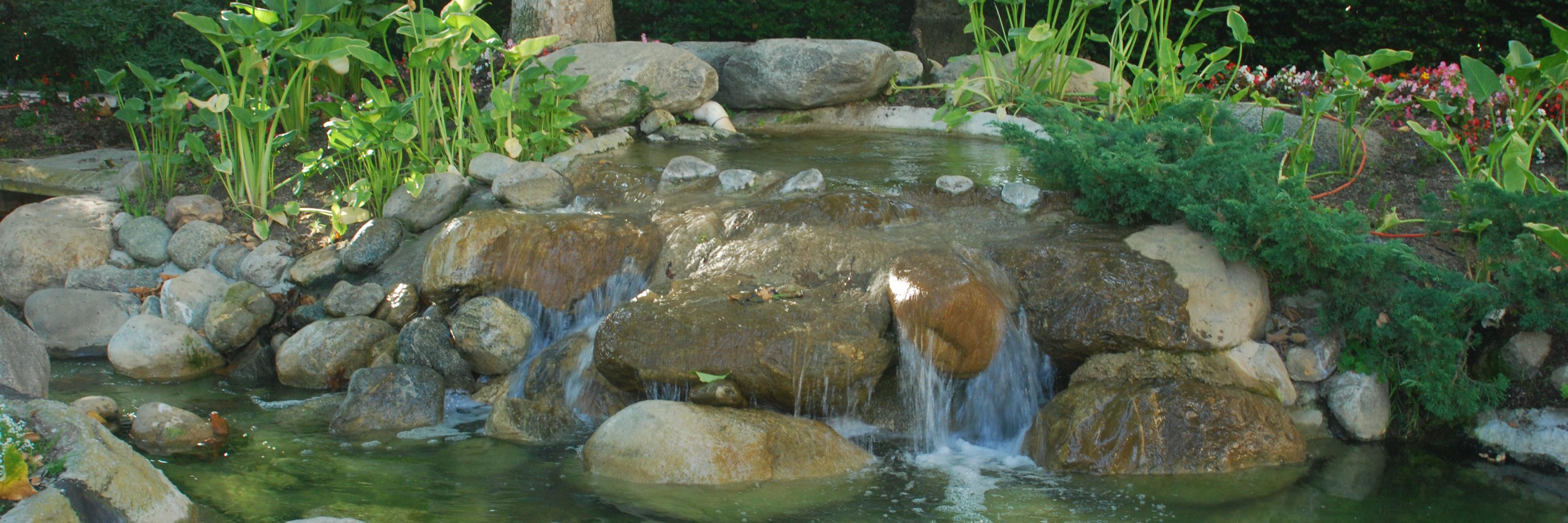 Vicky Burnham banner