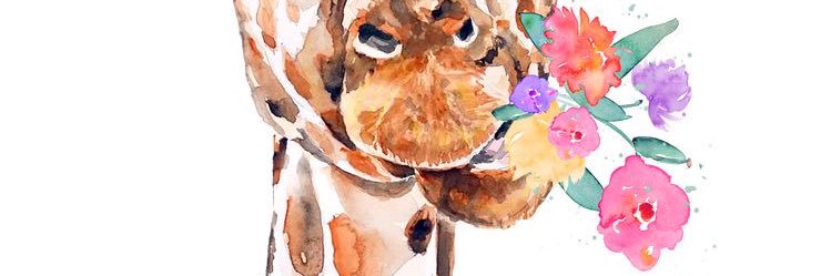 _aimirzln's profile banner image